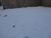 Next picture :: Wallpaper - Quetta Snowfall January 2012 (15) - 4608 x 3456